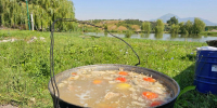 Более 1000 участников посетили фестиваль рыбной ловли в Предгорье - Вечерний Ставрополь