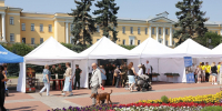 К 90-летию Калининского района откроется масштабная экспозиция - Spbdnevnik.ru