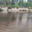 Женщина и ребенок утонули в реке Лух в Нижегородской области - фото 1 - vGorodeN.Ru