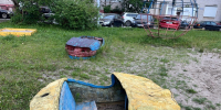 img - ЛДПР