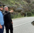 Свет и воду в двух селах Унцукульского района восстановили по временной схеме - РИА Дагестан