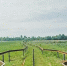 image - Газета Иркутск