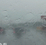 Владимирский кулинарный фестиваль перенесли из-за неблагоприятного прогноза - Progorod33.Ru