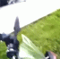 Видео задержания питбайкера в Переделкино Ближнее - Solncewonews.ru