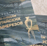 Сергей Писарев презентовал путеводитель «По следам алтайских камнерезов» - Законодательное Собрание
