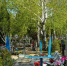 Кладбище Артём Хорошилов  , ИА Stavropol.Media - ChitaMedia