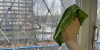 Окна, намытые как после клининга: 2 пакетика в кипяток — и полгода кристальной чистоты без разводов - Pro Город Ухта