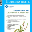 Особенности сезонной аллергии и ее профилактика - Областной хоспис