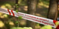 Упавшее дерево насмерть придавило семилетнего ребенка в Тверской области - Сетевое издание Толк