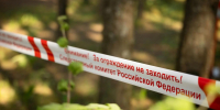 Под Конаково в Тверской области из-за упавшего на палатку дерева погиб ребенок - Афанасий-биржа