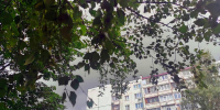 В Тверской области объявлено новое штормовое предупреждение из-за грозы - Афанасий-биржа