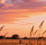 12 июля - Петров день: летние святцы, традиции предков и магия уходящего солнца - ГТРК Владимир