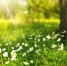 Первоисточник - Syktyvkar.1istochnik.Ru