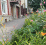 лето_погода_саратов - Novosti-Saratova.Ru