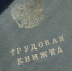 Рекрутеры рассказали, почему резюме долго висят без просмотра и возможностях ИИ - Московская газета