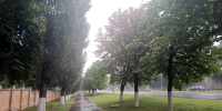 Вновь ненастно: брянцам продлили суровые погодные предупреждения - БрянскToday.Ru
