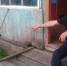 В Саракташе пенсионер угрожал сыну-инвалиду вилами - Газета Оренбуржье