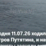 Крупную акулу заметили всего в 50 километрах от Владивостока у острова Путятина - Baikal24.Ru
