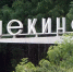 Пострадавший от атаки БПЛА жилой дом в Щёкино начнут ремонтировать - Общественная палата