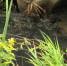В рыбинском Копаево ведутся работы по локализации котлована в районе нефтебазы - ГТРК