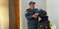 Школьники из села Донского познакомились с профессией пожарного - МЧС Ставропольского края