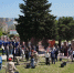 Жители Новороссийска спасают красные клёны, про которые забыли коммунальщики - Газета Новороссийский рабочий
