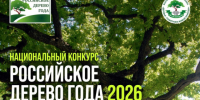 Приглашаем поддержать дуб-долгожитель из Новооскольского городского округа в конкурсе за звание «Российское дерево года 2026». - Администрация Белгородского района