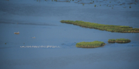 Росводресурсы добавили Астраханской области воды - Punkt-a.info