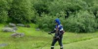 В Мурманске за неделю скосили траву на 200 адресах - Вечерний Мурманск