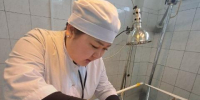 Учёные Бурятской ГСХА нашли способ быстрее лечить конъюнктивит у кошек и собак - Baikal24.Ru