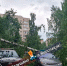 Крыши и деревья летели прямо на дорогу: в Ярославской области устраняют последствия грозы - YarCube.Ru