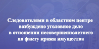 Следователями в областном центре возбуждено уголовное дело в отношении несовершеннолетнего по факту кражи имущества - Следственный комитет