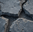 image - GazetaRB.Ru