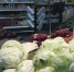 xxbogbz3q1lgdraq0nmnx54blgt6g91k.jpg - Primorye24.Ru