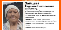 Волонтеры ищут 85-летнюю женщину в Лискинском районе - VrnTimes.Ru