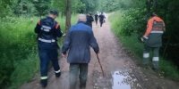 86-летний вологжанин после инсульта отправился в лес за грибами и заблудился - OnlineVologda.Ru