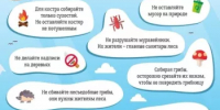 Всероссийская акция "Безопасность детства — 2026": главное о прогулках на природе! - Бирский район
