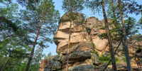 Фото: Vladimir Zhoga/Shutterstock/Fotodom - Ямал-Медиа