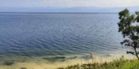 Жёлтые пятна у Кругобайкальской железной дороги напугали туристов на Байкале - Baikal24.Ru
