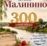 Три сотни лет на берегу Оми: история деревни Малинино - Венгеровский район