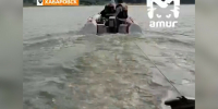 На Амуре спасли семью с детьми дрейфовавшую на лодке видео - Amur.Life