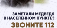 Памятка поведения при встрече с медведем в населённом пункте, либо на прилегающей к нему территории. - Северо-Енисейский муниципальный округ