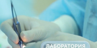 Что такое пищевая аллергия и зачем нужны онкомаркеры? На вопросы отвечают эксперты - Медицинский Университет им. Н.Н. Бурденко