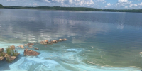 Пробы воды в озере Воицком, где обнаружены пятна неизвестного происхождения, отправят на анализ в лабораторию - StolicaOnego.Ru
