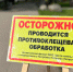 Количество пострадавших от клещей в Альметьевском районе увеличилось до 371 - Альметьевск РТВ
