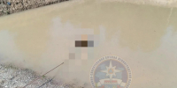 Тело мужчины подняли из грязного пруда под Киришами - 47 новостей