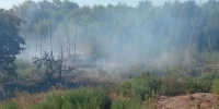 Повторное возгорание зафиксировали на мусорном полигоне в Зернограде - DonDay.Ru