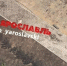 В Ярославле молодая женщина погибла, упав из окна высотки - YarCube.Ru