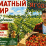 афиша - Шахматная федерация