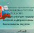 С Днем рыбака!. - Городской округ Бердянск